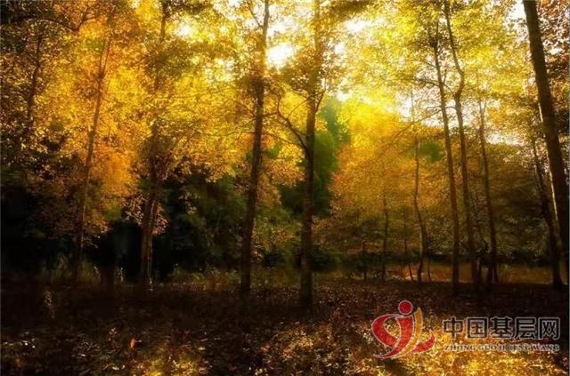 17413538566780311_72.jpg 17413538566780311_72.jpg