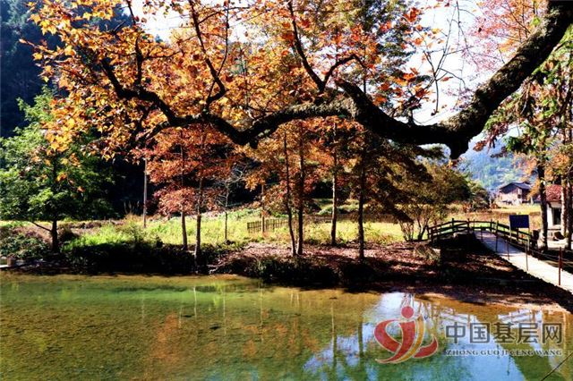 08460625781236507_72.jpg 08460625781236507_72.jpg