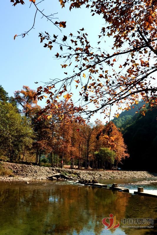 08472020203410830_72.jpg 08472020203410830_72.jpg