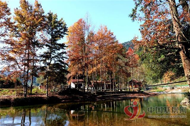 08482154139098553_72.jpg 08482154139098553_72.jpg