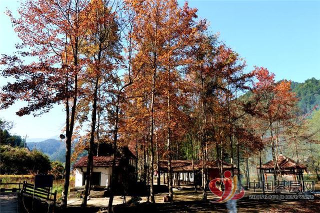 08594875379445711_72.jpg 08594875379445711_72.jpg