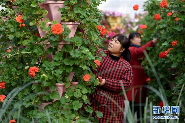 (经济)(2)河北南和:打造现代农业园区 农民变身“产业工人”