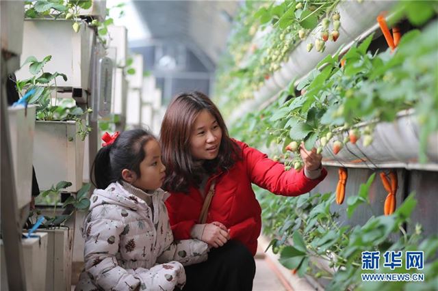 #（经济）（2）现代农业园春意盎然