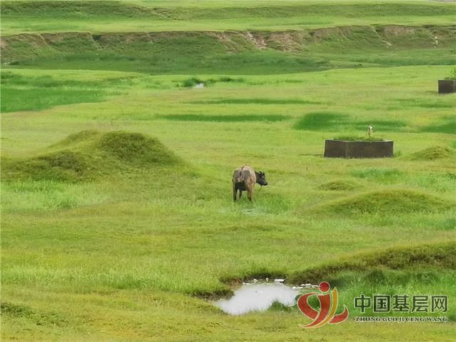 09352151025423440_75.jpg 09352151025423440_75.jpg