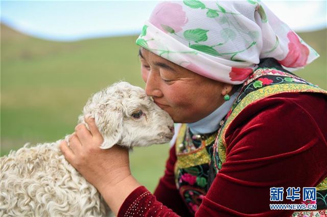 (图片故事)(12)草原上的游牧迁徙