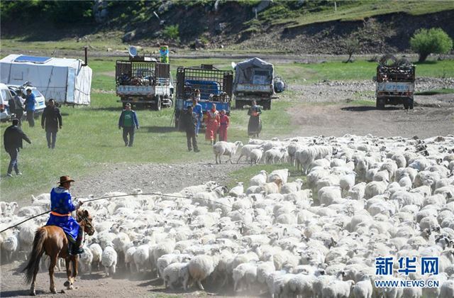 (图片故事)(8)草原上的游牧迁徙