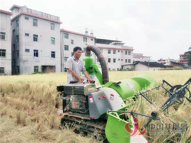 2332180166687248_28.jpg 2332180166687248_28.jpg