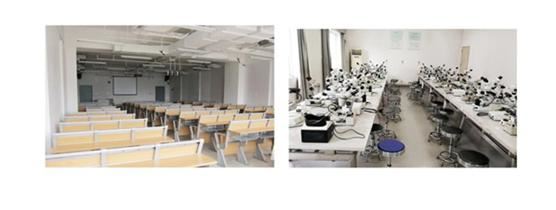 走进国际珠宝展 邂逅中国地质大学(武汉)珠宝学院