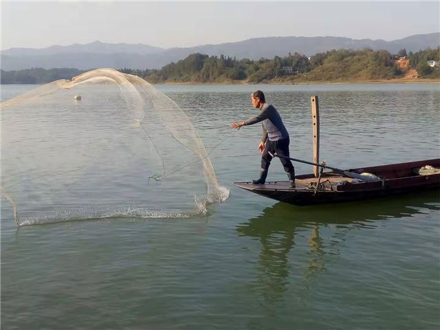 08483849699284602_75.jpg 08483849699284602_75.jpg