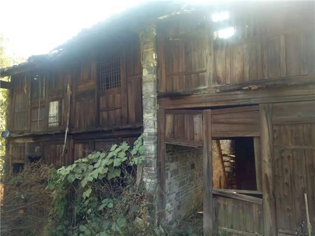 08500183227644435_75.jpg 08500183227644435_75.jpg