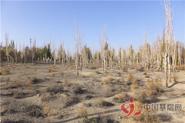 16355596406820342_86.jpg 16355596406820342_86.jpg