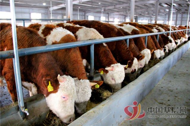 13373090653980706_86.jpg 13373090653980706_86.jpg