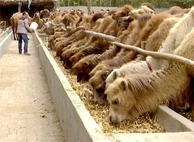 10333122001053731_88.jpg 10333122001053731_88.jpg