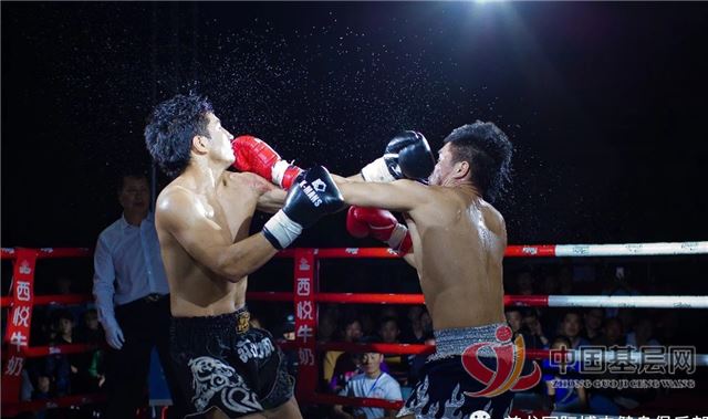 02294639966495707_86.jpg 02294639966495707_86.jpg