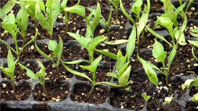 19094934461828455_88.jpg 19094934461828455_88.jpg