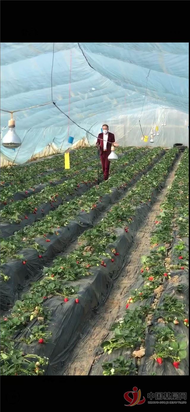 16232533296314832_87.jpg 16232533296314832_87.jpg