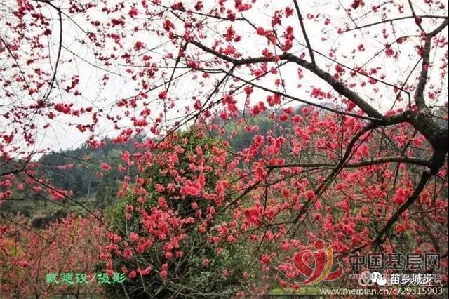 21141531593033984_92.jpg 21141531593033984_92.jpg