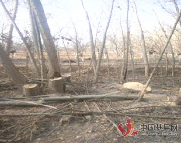 00224841921406491_86.jpg 00224841921406491_86.jpg