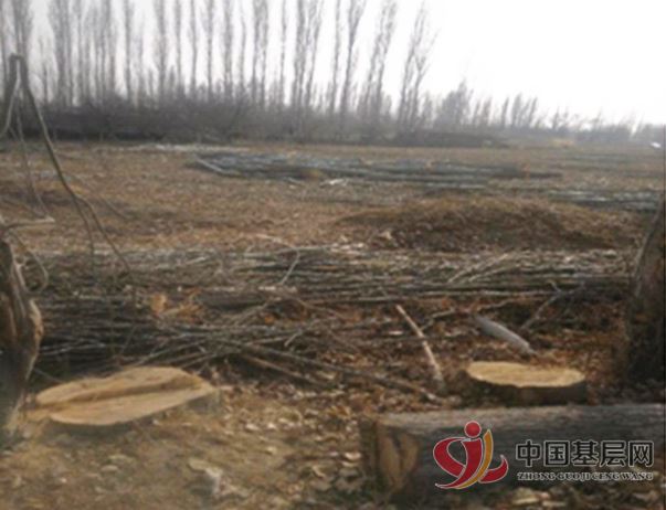 00230610968444570_86.jpg 00230610968444570_86.jpg