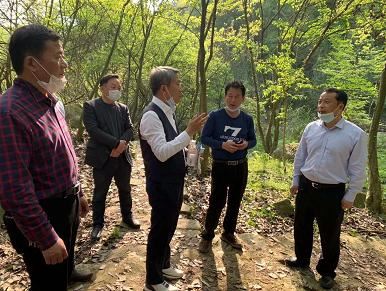 湖北武穴:李新桥到龙门花海同李宏伟畅谈旅游板块恢复元气!