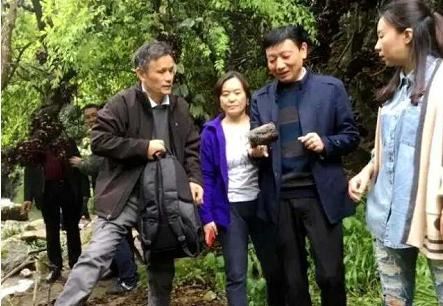 湖北武穴:李新桥到龙门花海同李宏伟畅谈旅游板块恢复元气!