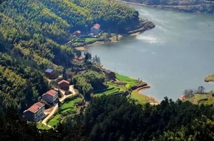 湖北武穴:李新桥到龙门花海同李宏伟畅谈旅游板块恢复元气!