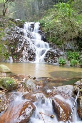 湖北武穴:李新桥到龙门花海同李宏伟畅谈旅游板块恢复元气!