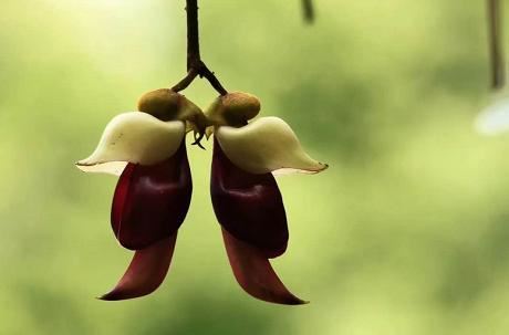 湖北武穴:李新桥到龙门花海同李宏伟畅谈旅游板块恢复元气!