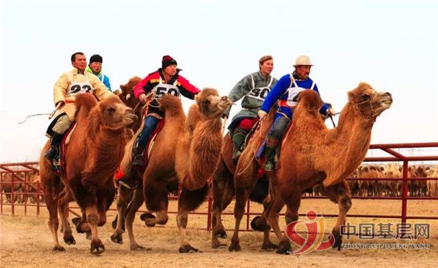 11391734522715092_86.jpg 11391734522715092_86.jpg