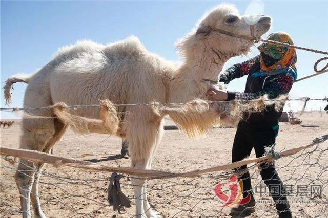 11403880866048789_86.jpg 11403880866048789_86.jpg