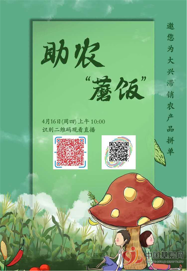 党建-中国基层网 广播节目加手机直播助