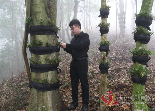 12523300671878991_28.png 12523300671878991_28.png