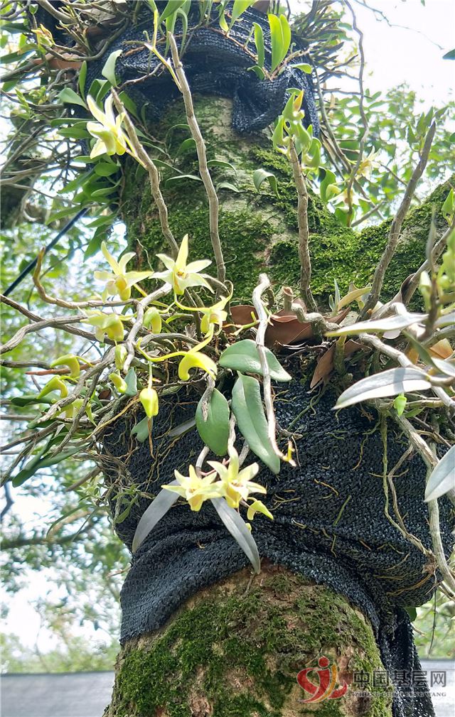 12525096243344154_28.jpg 12525096243344154_28.jpg