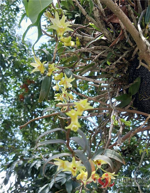 12530670288312859_28.jpg 12530670288312859_28.jpg