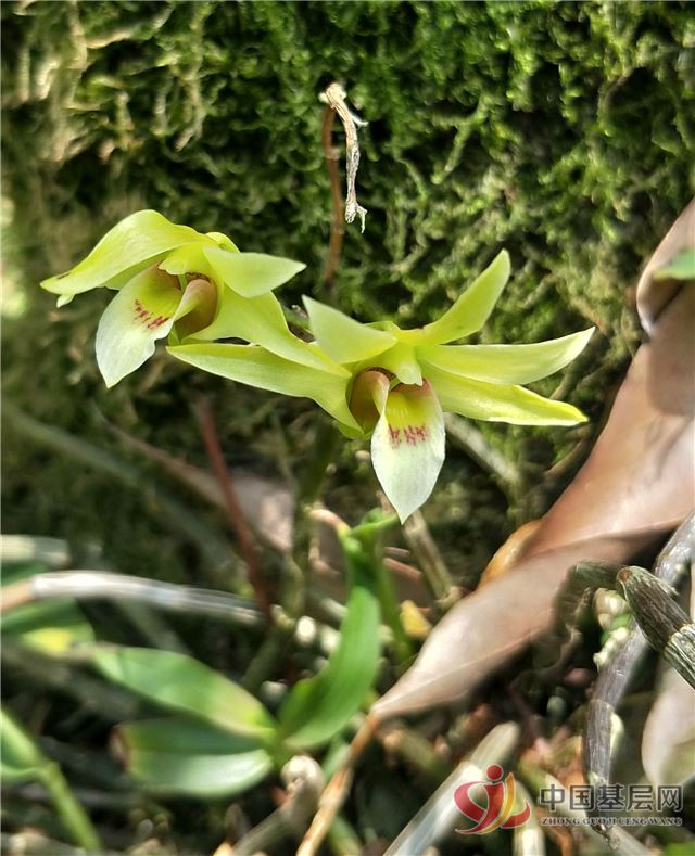 12532518883856441_28.jpg 12532518883856441_28.jpg