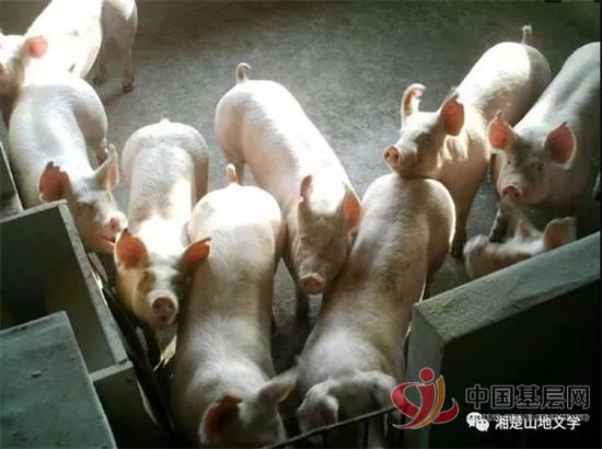 18093996846357951_92.jpg 18093996846357951_92.jpg