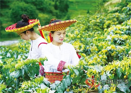 18520610245794456_92.png 18520610245794456_92.png