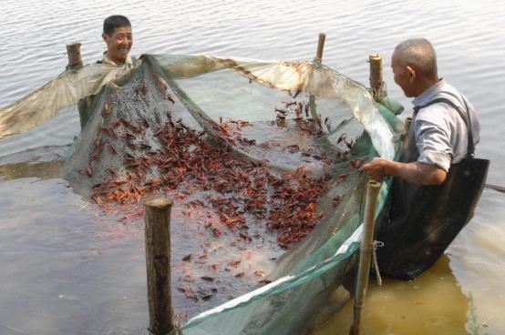 11494922722262491_16.jpg 11494922722262491_16.jpg