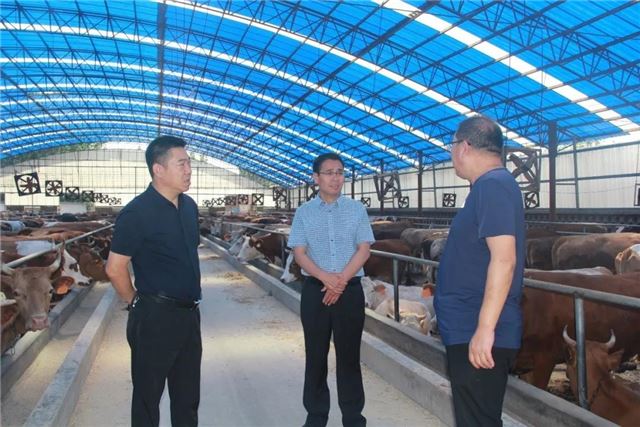 09342242568715294_89.jpg 09342242568715294_89.jpg