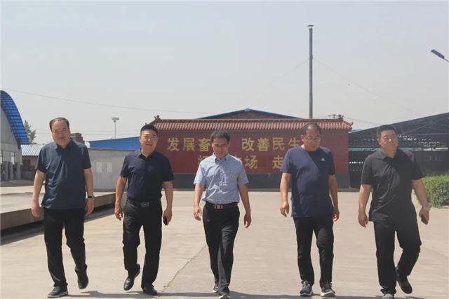 09353285978445245_89.jpg 09353285978445245_89.jpg