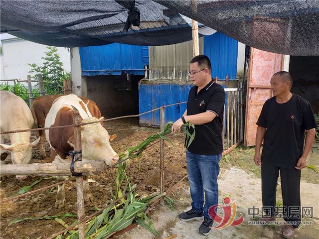 22164070857246401_87.jpg 22164070857246401_87.jpg