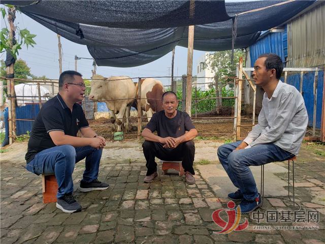 22171156532025602_87.jpg 22171156532025602_87.jpg