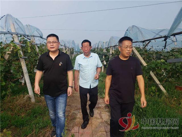 2221520226837524_87.jpg 2221520226837524_87.jpg