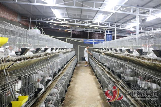 0941322535280526_89.jpg 0941322535280526_89.jpg