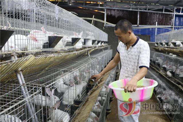 09414487394981621_89.jpg 09414487394981621_89.jpg