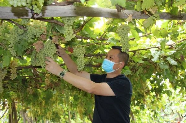 1599449467202292.jpg QQ截图20200907112655.jpg