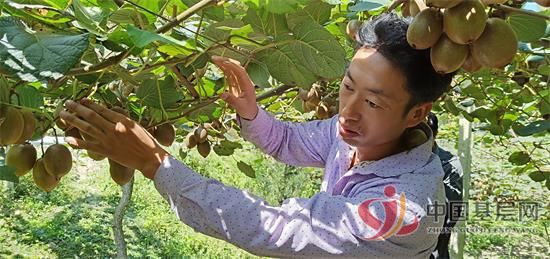 22253441478533219_92.jpg 22253441478533219_92.jpg