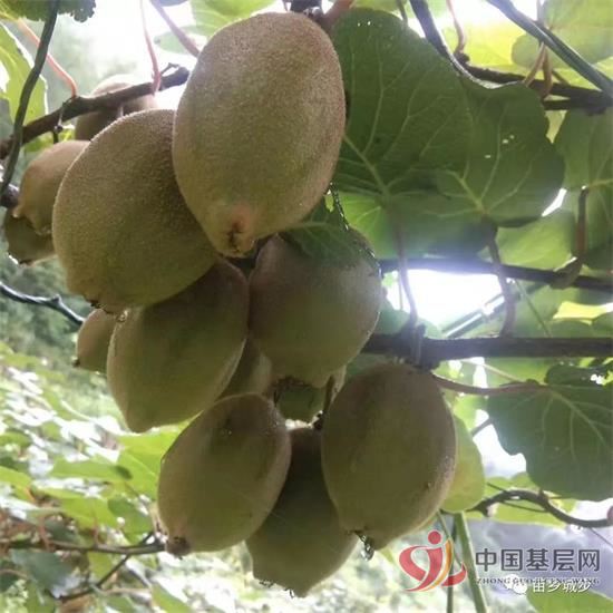 22261236965061221_92.jpg 22261236965061221_92.jpg