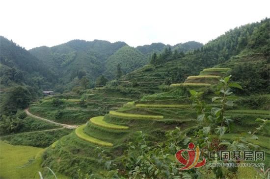 10054136077881638_92.jpg 10054136077881638_92.jpg