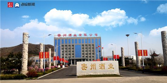 山东诸城:密州酒业创新驱动,高质量发展